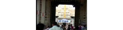59. திருஎவ்வுள் 